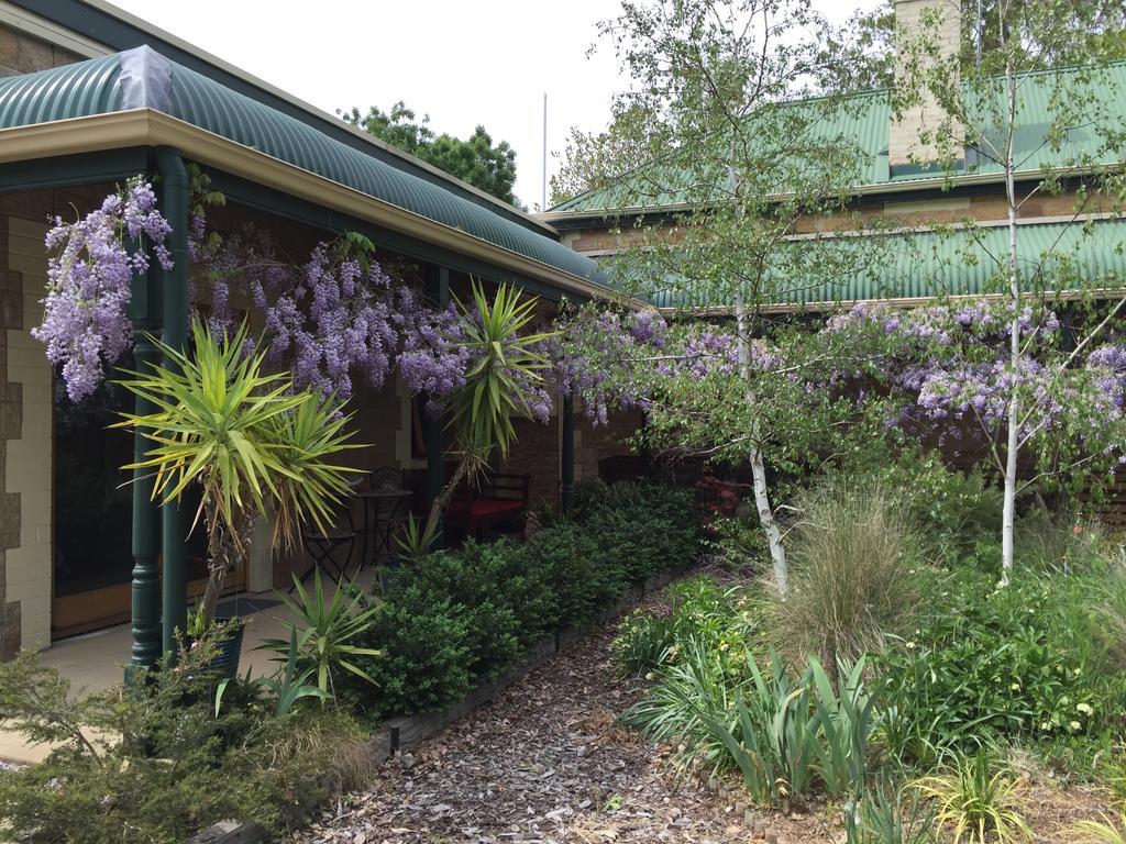 Clarevale Cottage B&B ภายนอก รูปภาพ